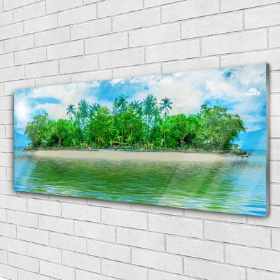 Plexiglas® Wall Art Sea island landscape blue brown green