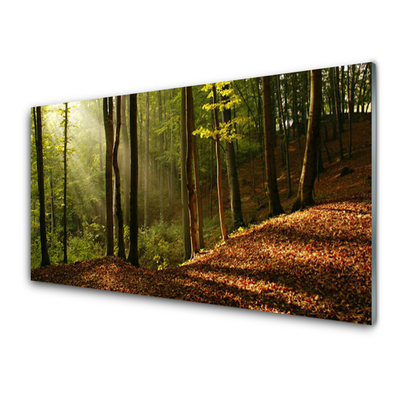 Plexiglas® Wall Art Forest nature brown green