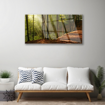 Plexiglas® Wall Art Forest nature brown green