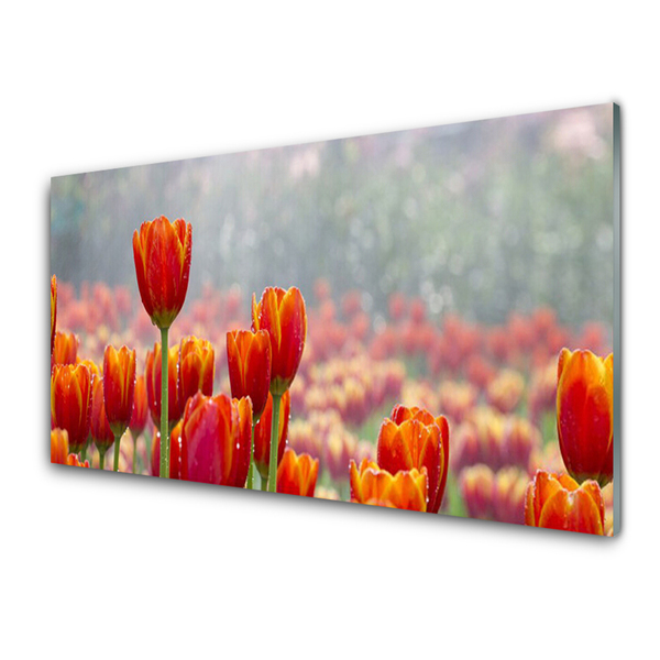 Plexiglas® Wall Art Tulips floral red