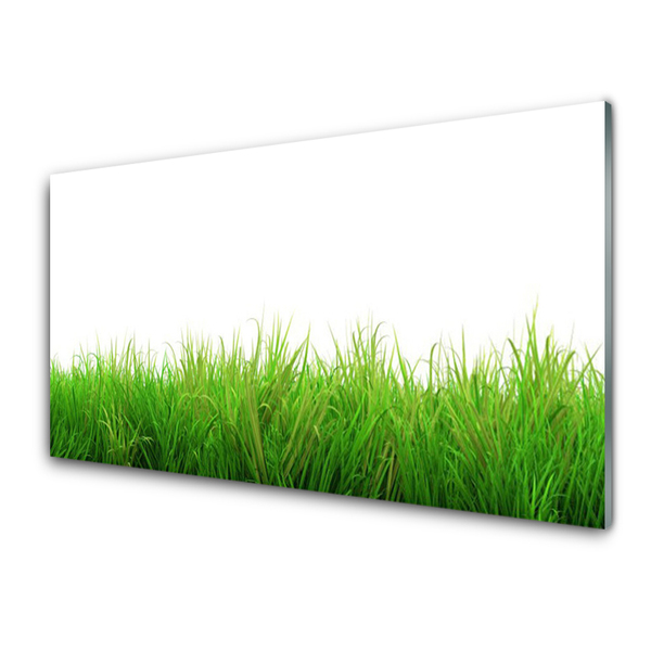 Plexiglas® Wall Art Grass nature green