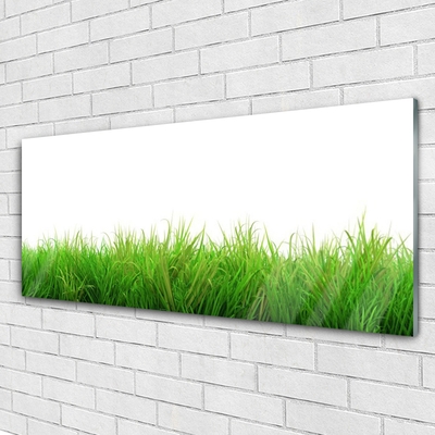 Plexiglas® Wall Art Grass nature green