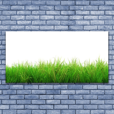 Plexiglas® Wall Art Grass nature green