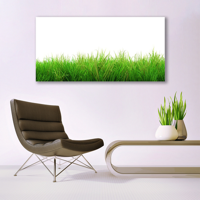 Plexiglas® Wall Art Grass nature green