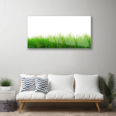 Plexiglas® Wall Art Grass nature green