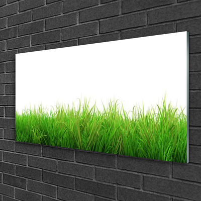 Plexiglas® Wall Art Grass nature green