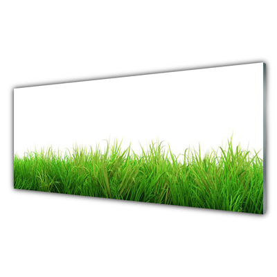 Plexiglas® Wall Art Grass nature green