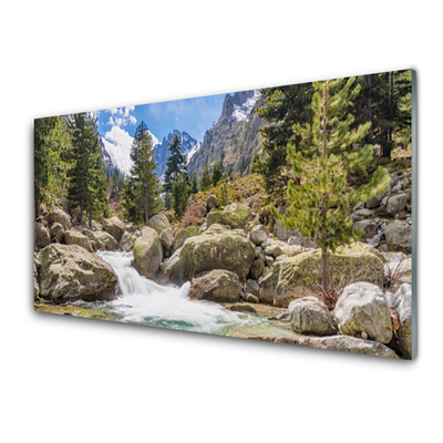 Plexiglas® Wall Art Mountain forest stones lake nature grey brown green white