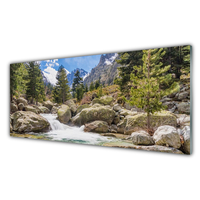 Plexiglas® Wall Art Mountain forest stones lake nature grey brown green white