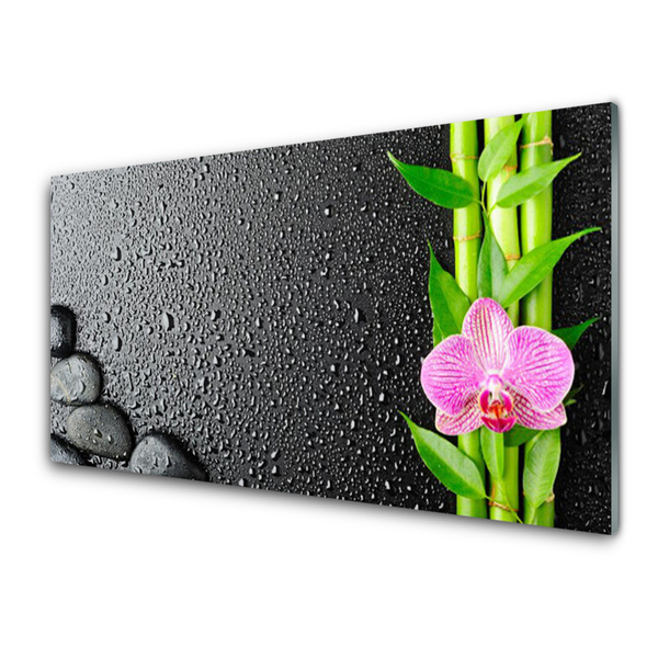 Plexiglas® Wall Art Bamboo stalk flower stones floral green pink black