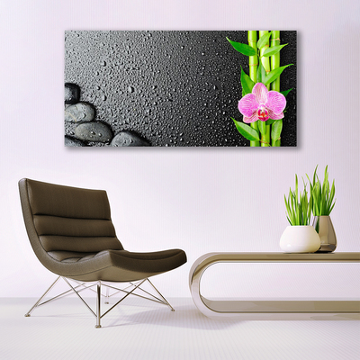 Plexiglas® Wall Art Bamboo stalk flower stones floral green pink black