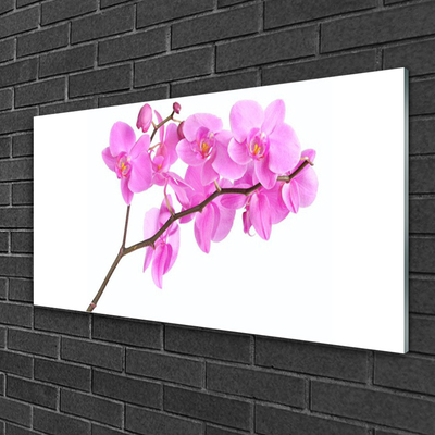 Plexiglas® Wall Art Flowers floral pink