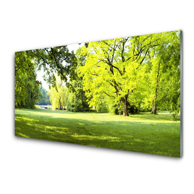 Plexiglas® Wall Art Grass trees nature green brown