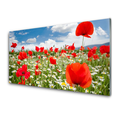 Plexiglas® Wall Art Meadow flowers nature red white green