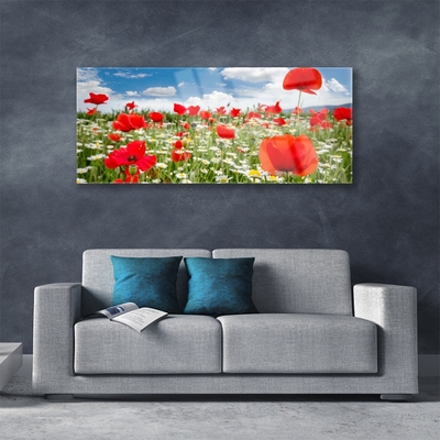 Plexiglas® Wall Art Meadow flowers nature red white green