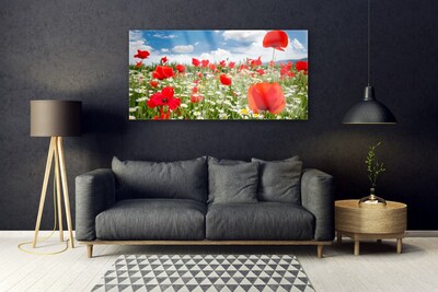 Plexiglas® Wall Art Meadow flowers nature red white green