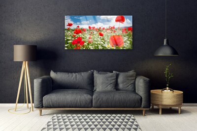 Plexiglas® Wall Art Meadow flowers nature red white green