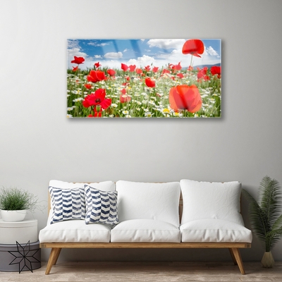 Plexiglas® Wall Art Meadow flowers nature red white green