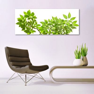 Plexiglas® Wall Art Branches leaves floral brown green