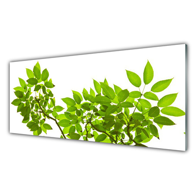 Plexiglas® Wall Art Branches leaves floral brown green