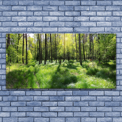 Plexiglas® Wall Art Forest nature brown green