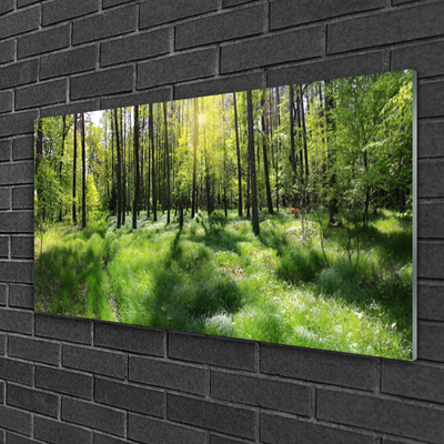 Plexiglas® Wall Art Forest nature brown green