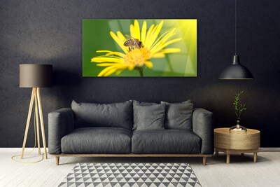 Plexiglas® Wall Art Wasp flower floral black yellow