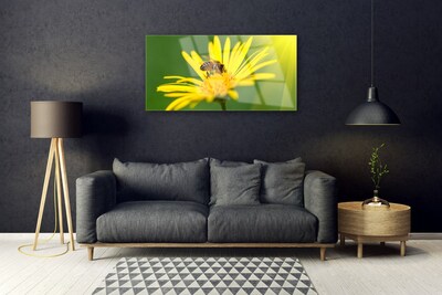 Plexiglas® Wall Art Wasp flower floral black yellow