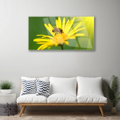 Plexiglas® Wall Art Wasp flower floral black yellow