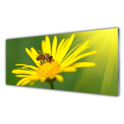 Plexiglas® Wall Art Wasp flower floral black yellow