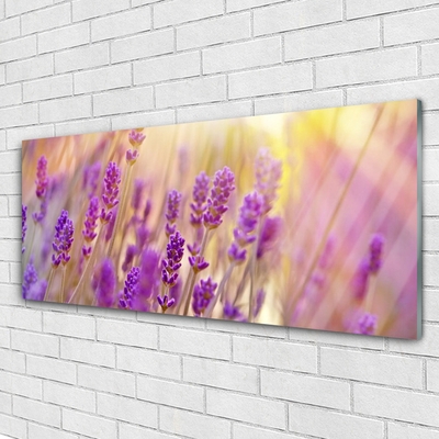 Plexiglas® Wall Art Flowers floral pink