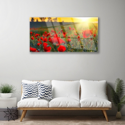 Plexiglas® Wall Art Meadow flowers nature red green