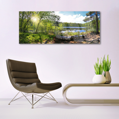 Plexiglas® Wall Art Forest lake nature brown green