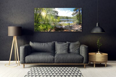Plexiglas® Wall Art Forest lake nature brown green