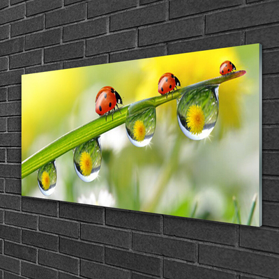 Plexiglas® Wall Art Leaf ladybug dewdropfen nature green red black