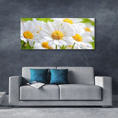 Plexiglas® Wall Art Daisy floral yellow white