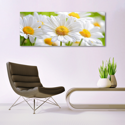 Plexiglas® Wall Art Daisy floral yellow white