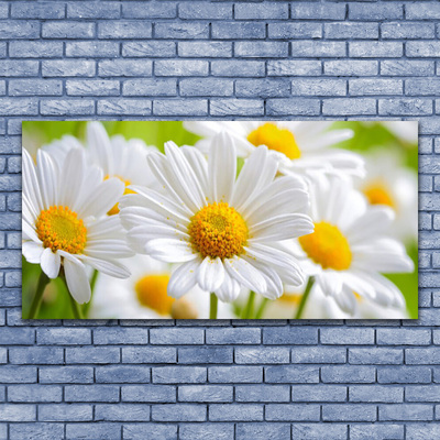 Plexiglas® Wall Art Daisy floral yellow white