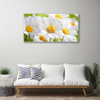 Plexiglas® Wall Art Daisy floral yellow white