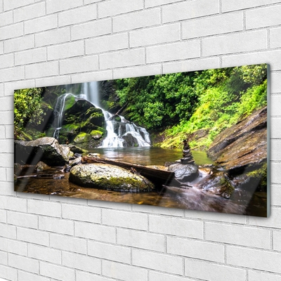 Plexiglas® Wall Art Waterfall stones forest nature brown green white