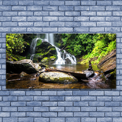 Plexiglas® Wall Art Waterfall stones forest nature brown green white