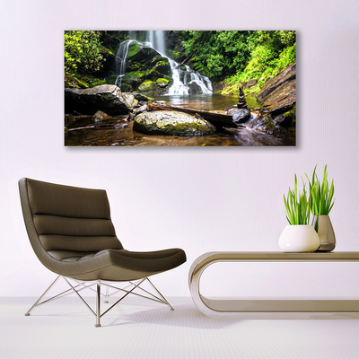 Plexiglas® Wall Art Waterfall stones forest nature brown green white