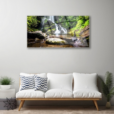 Plexiglas® Wall Art Waterfall stones forest nature brown green white