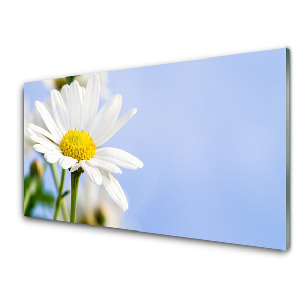 Plexiglas® Wall Art Daisy floral yellow white