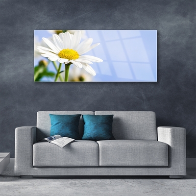 Plexiglas® Wall Art Daisy floral yellow white