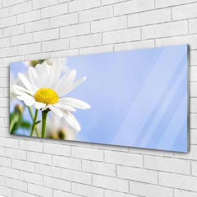 Plexiglas® Wall Art Daisy floral yellow white