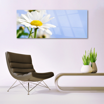 Plexiglas® Wall Art Daisy floral yellow white