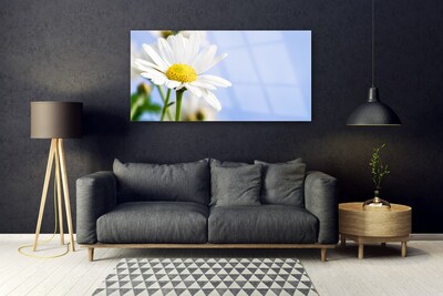 Plexiglas® Wall Art Daisy floral yellow white