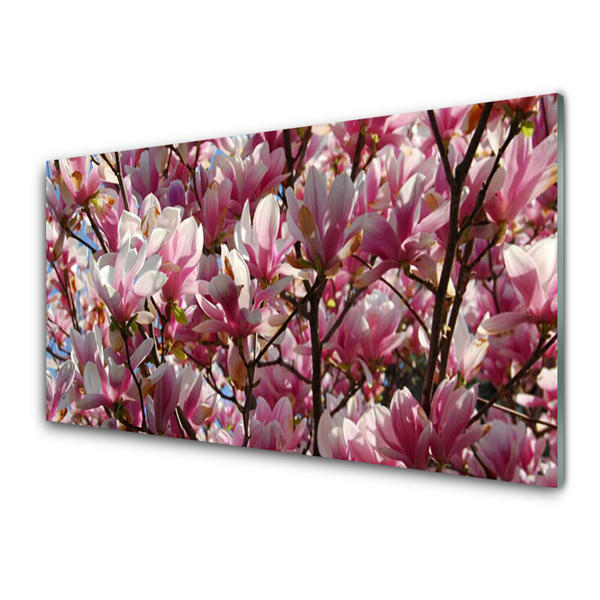 Plexiglas® Wall Art Branches flowers floral brown pink