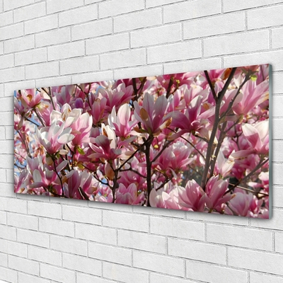 Plexiglas® Wall Art Branches flowers floral brown pink